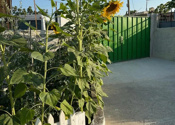 Hébergement de vacances Dukaj Vlorë